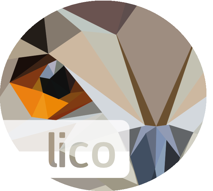 Lico Innovations