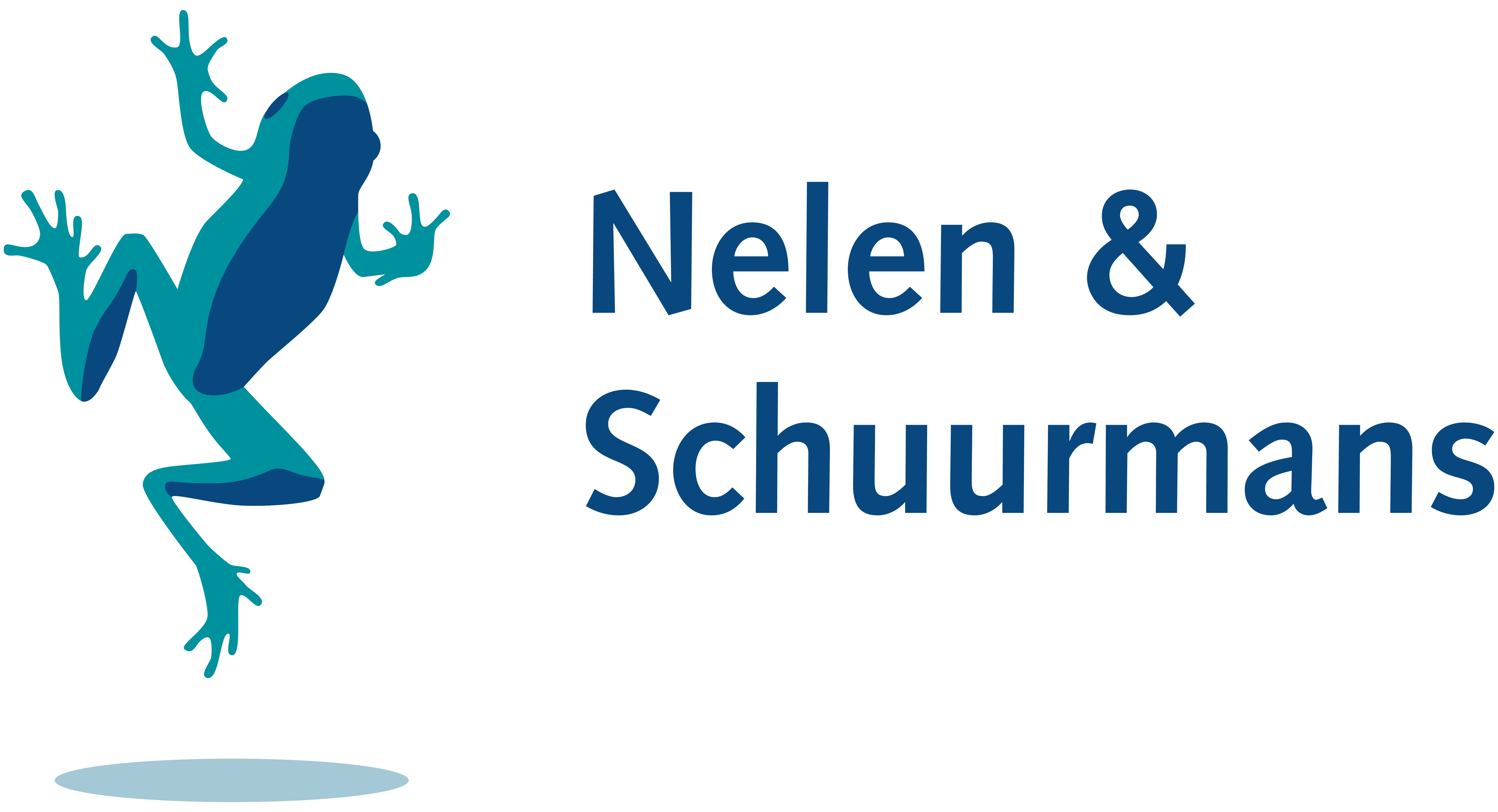Nelen & Schuurmans logo
