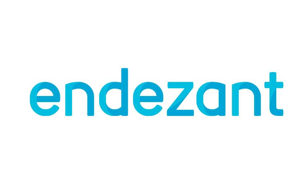 Endezant Accountants & Adviseurs logo