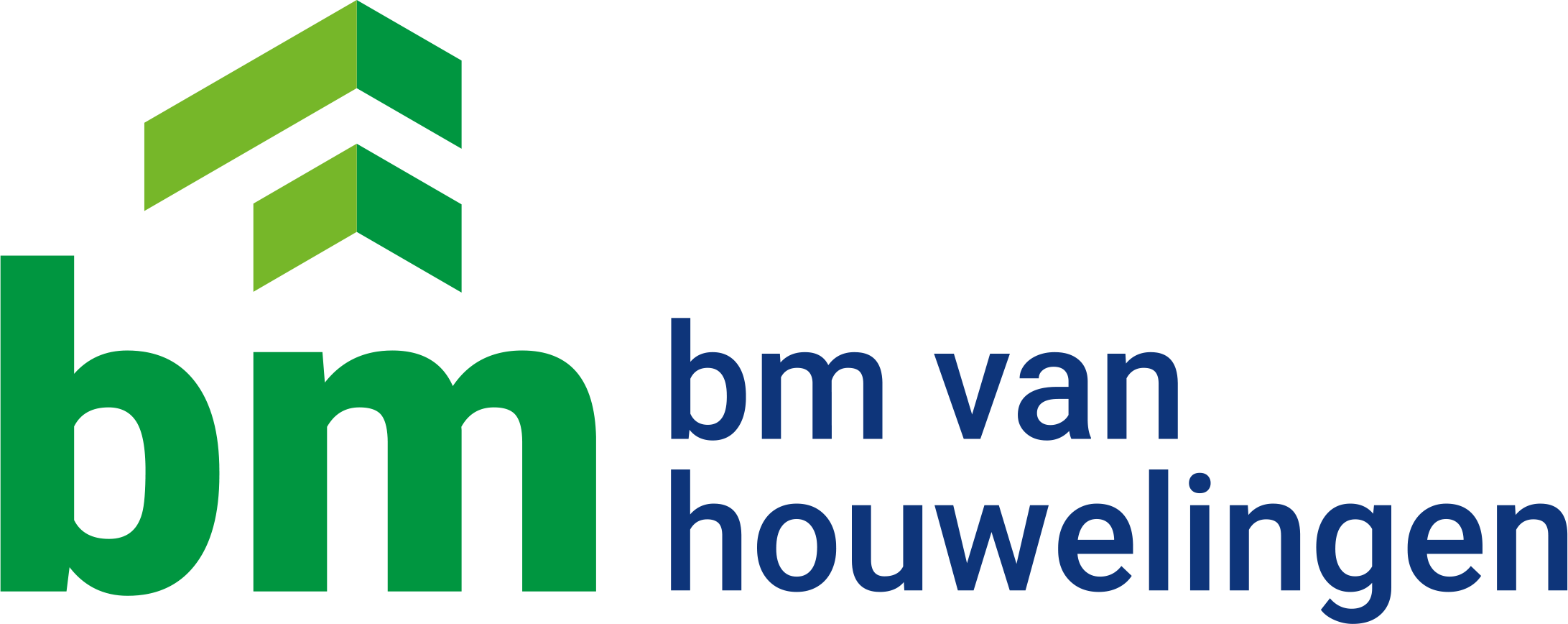 BM van Houwelingen logo
