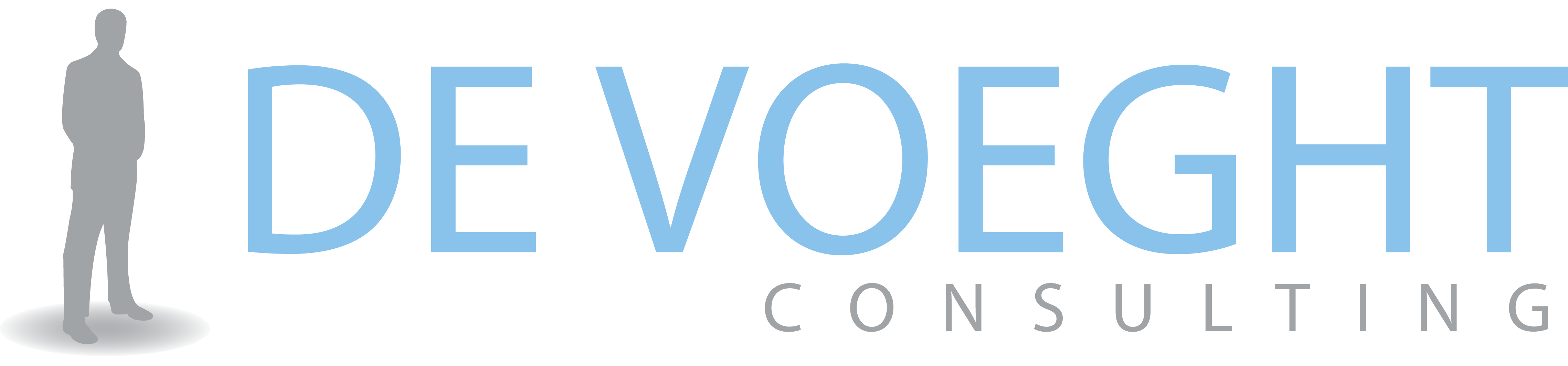 De Voeght Consulting logo