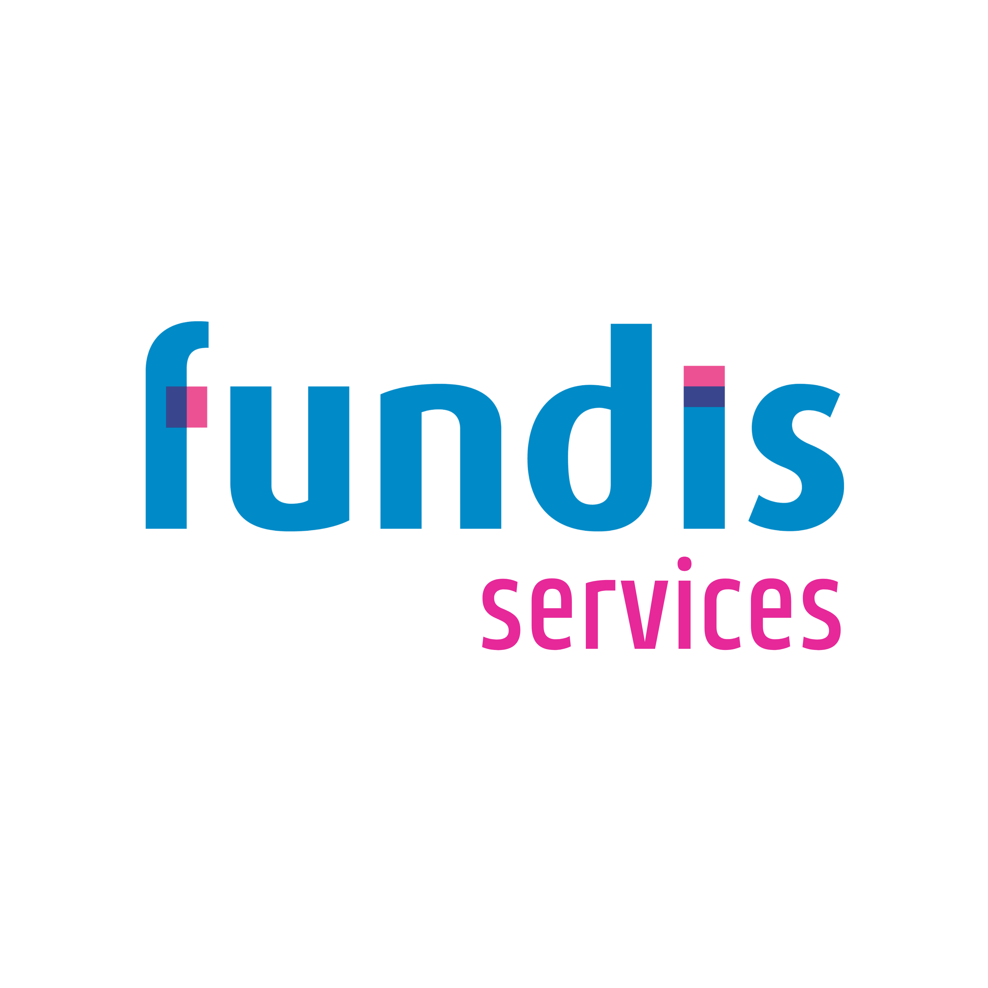 Fundis services logo