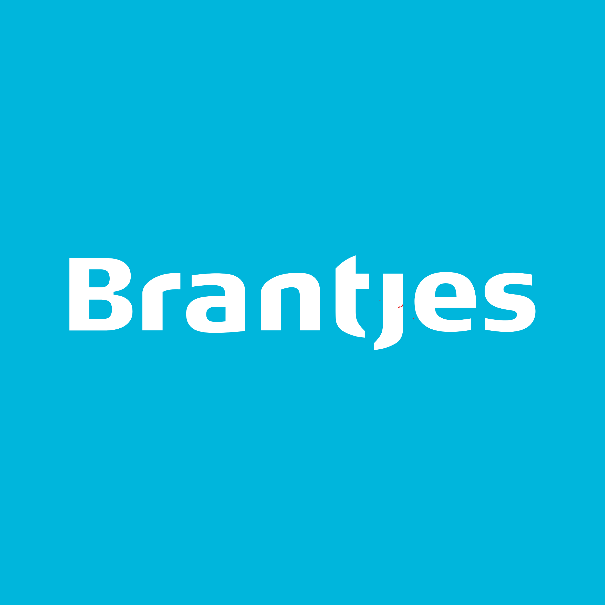 Brantjes Makelaars